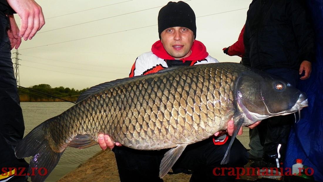 GREENFISH 2 - 1000463.jpg